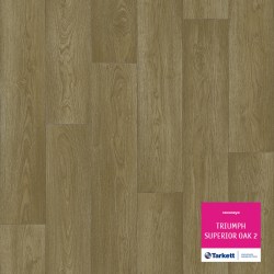 Superior oak 2